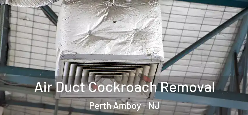Air Duct Cockroach Removal Perth Amboy - NJ