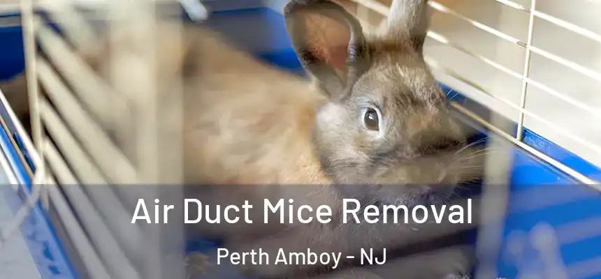Air Duct Mice Removal Perth Amboy - NJ