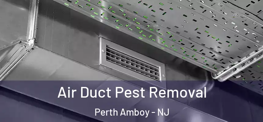  Air Duct Pest Removal Perth Amboy - NJ