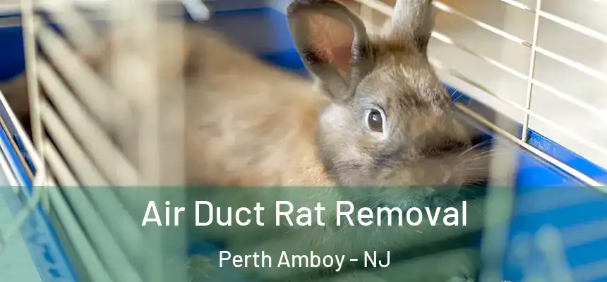  Air Duct Rat Removal Perth Amboy - NJ
