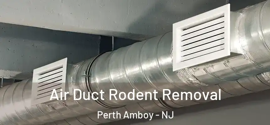  Air Duct Rodent Removal Perth Amboy - NJ