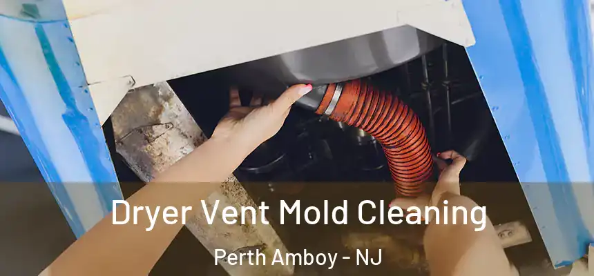  Dryer Vent Mold Cleaning Perth Amboy - NJ