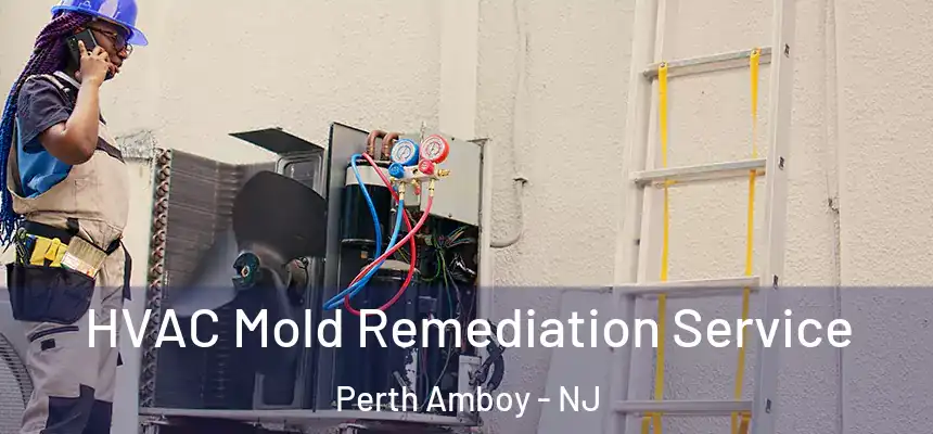 HVAC Mold Remediation Service Perth Amboy - NJ