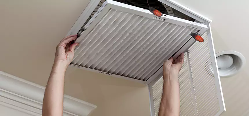 Preventive Cockroach-Proofing for Ducts in Perth Amboy