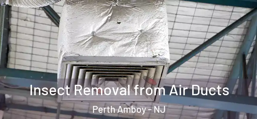  Insect Removal from Air Ducts Perth Amboy - NJ