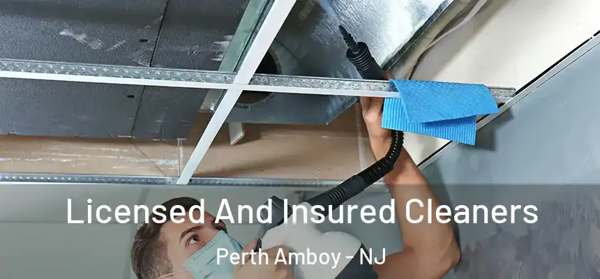 Licensed And Insured Cleaners Perth Amboy - NJ