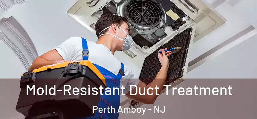 Mold-Resistant Duct Treatment Perth Amboy - NJ