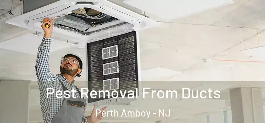 Pest Removal From Ducts Perth Amboy - NJ