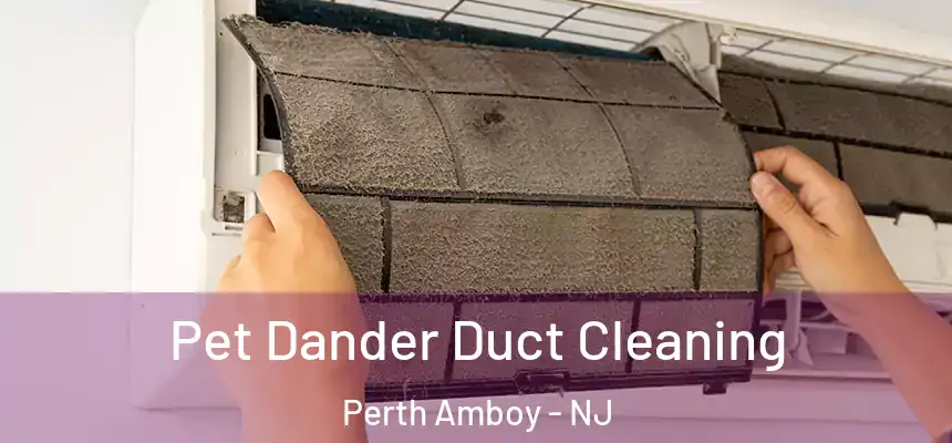 Pet Dander Duct Cleaning Perth Amboy - NJ