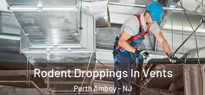 Rodent Droppings In Vents Perth Amboy - NJ