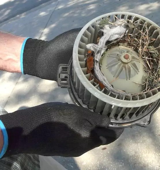 About Air Duct Rat Removal in Perth Amboy, NJ