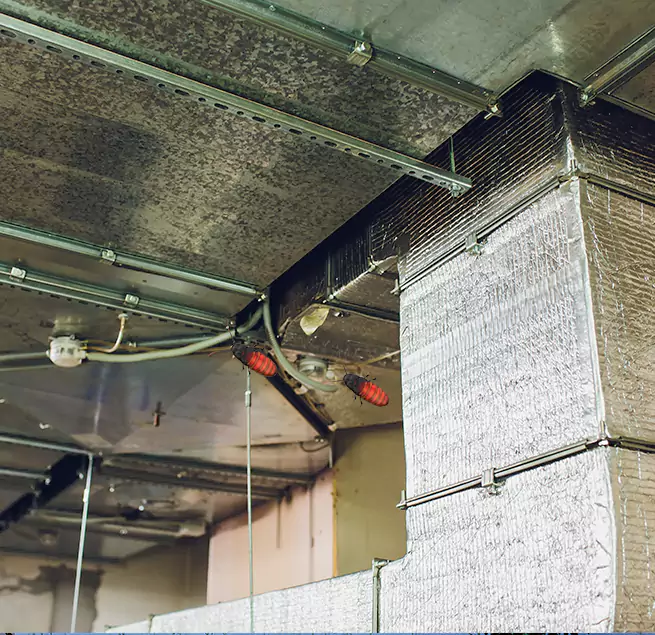 Why Homeowners & Businesses Trust Us in Perth Amboy, NJ?