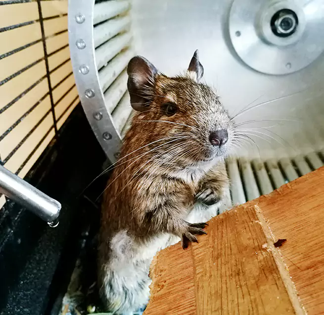 Why Homeowners & Businesses Trust Us Perth Amboy, NJ